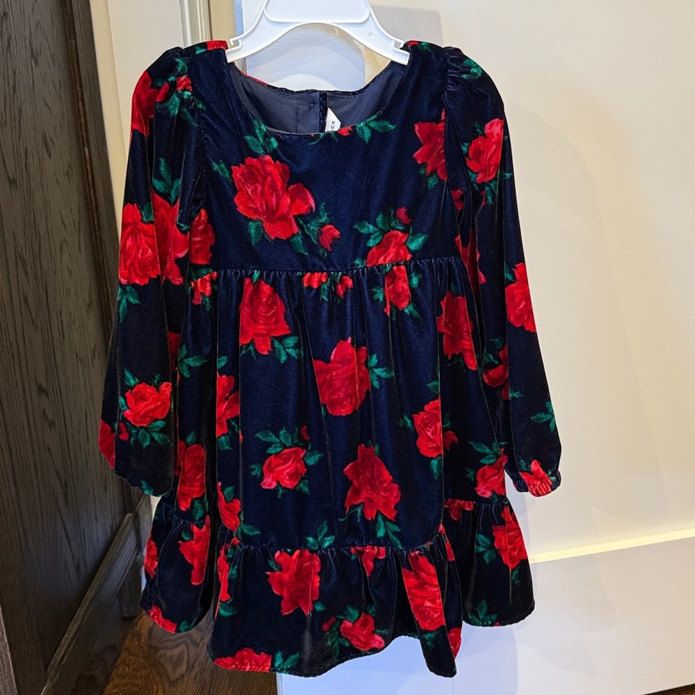 Janie and Jack Red Floral Velvet Dress
